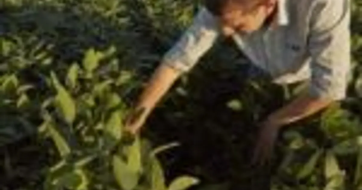 Инвестиции в AgTech: итоги 1 квартала 2026 года
