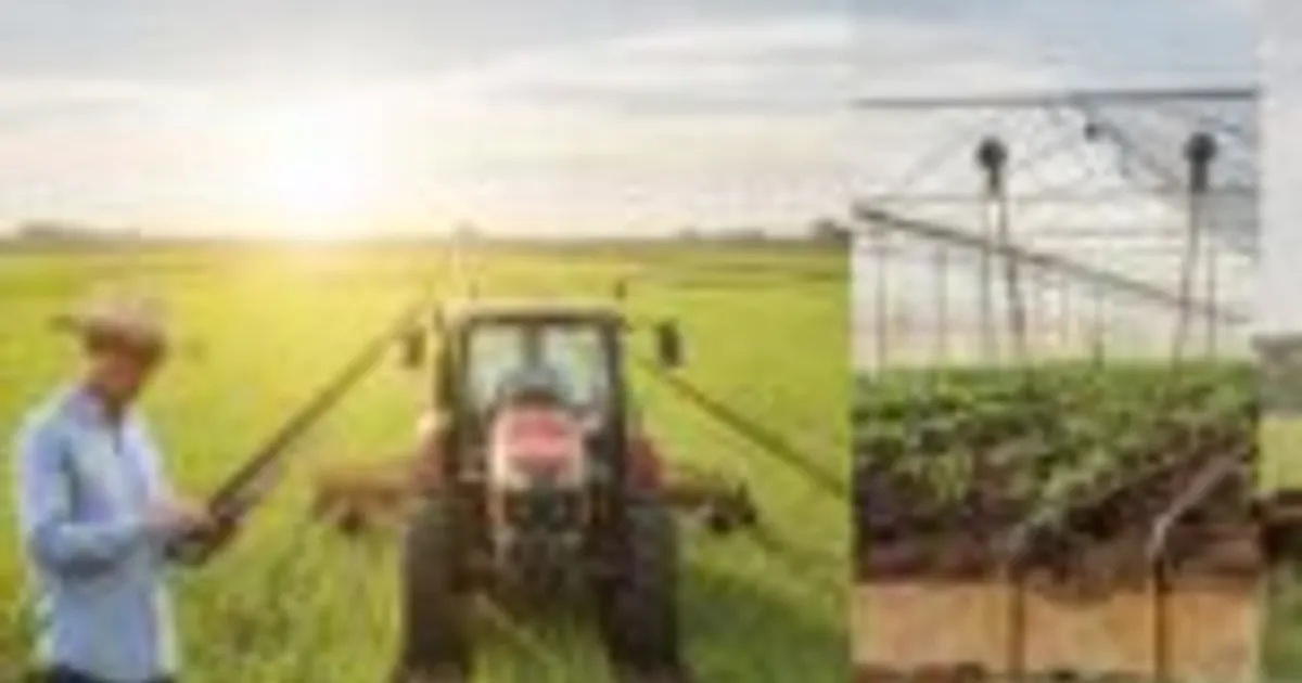 ИИ в сельском хозяйстве: инструмент, а не замена человеку