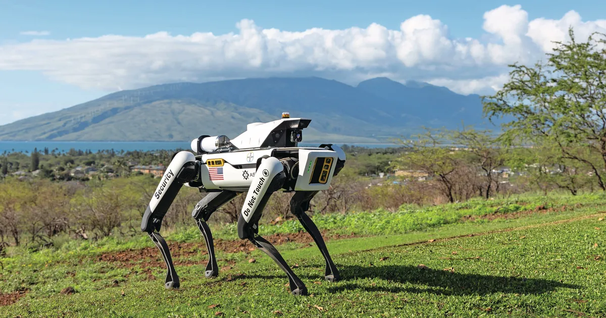 Робопсы охраняют кукурузные поля на Гавайях