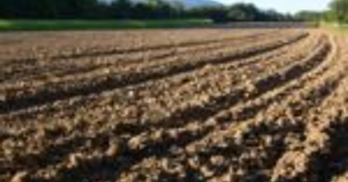 Attune Agriculture представила новый адъювант для почвы