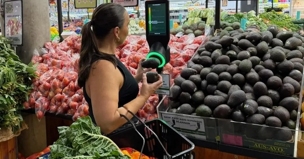 Австралия тестирует сканер зрелости авокадо в магазинах