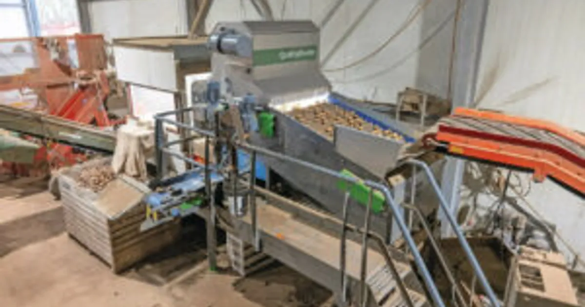 Оптическая сортировка в хранилищах снижает затраты