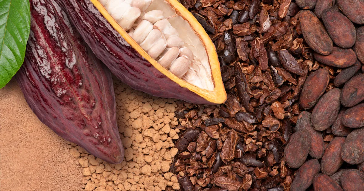 California Cultured создаёт биореакторы для выращивания какао