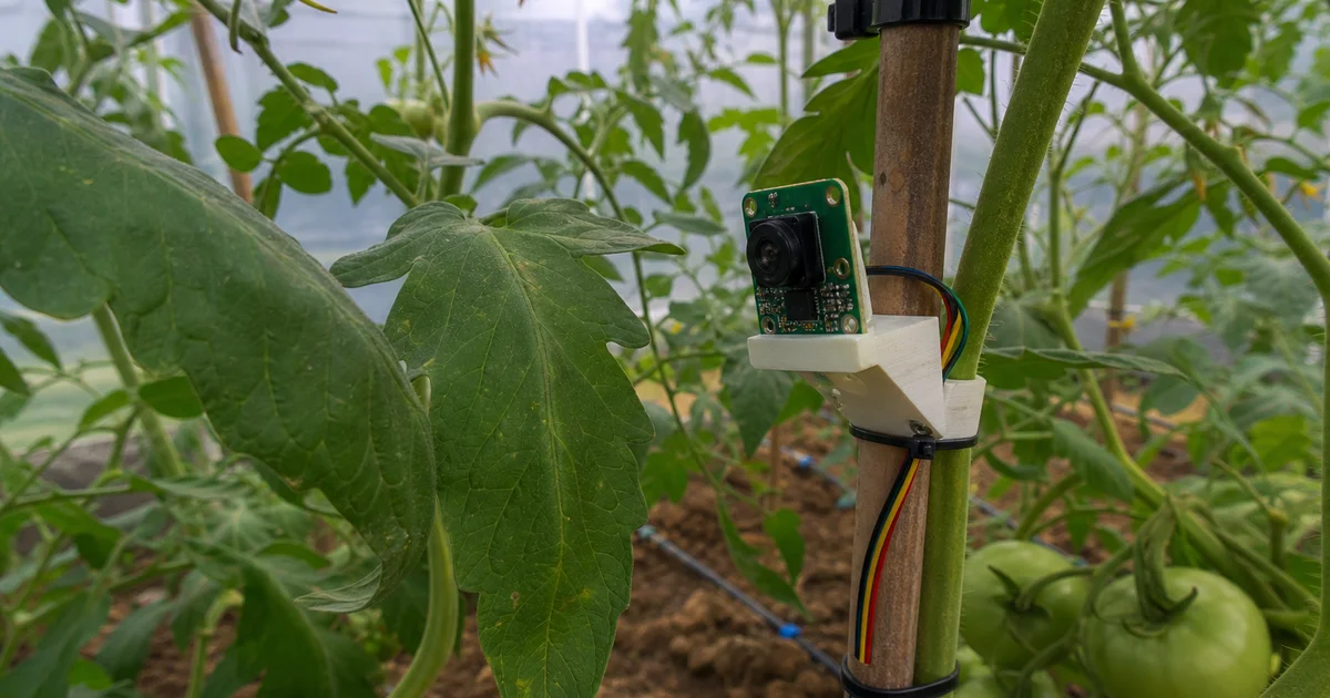 Нейросеть + ESP32-CAM: автоматический контроль здоровья растений