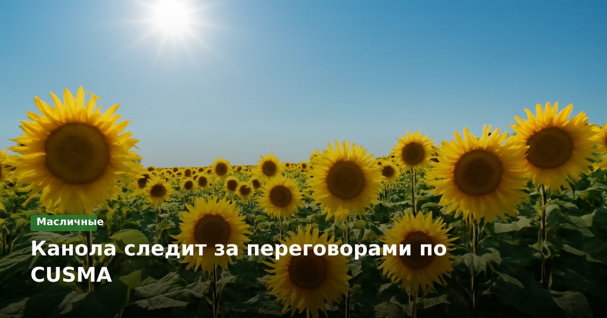 Канола следит за переговорами по CUSMA