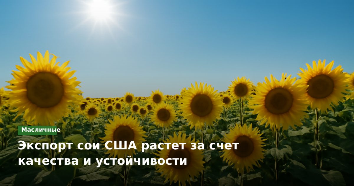 Экспорт сои США растет за счет качества и устойчивости