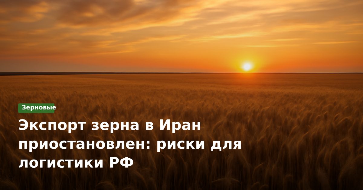 Экспорт зерна в Иран приостановлен: риски для логистики РФ