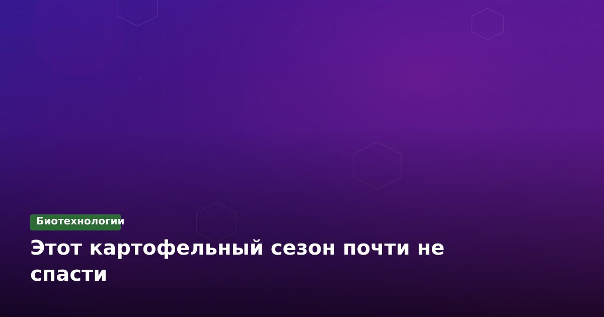 Картофельный кризис: как цифровые инструменты помогут пережить сезон