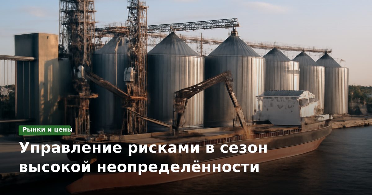 Управление рисками в сезон высокой неопределённости