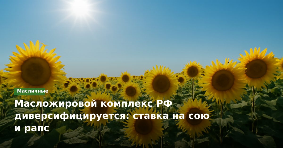 Масложировой комплекс РФ диверсифицируется: ставка на сою и рапс