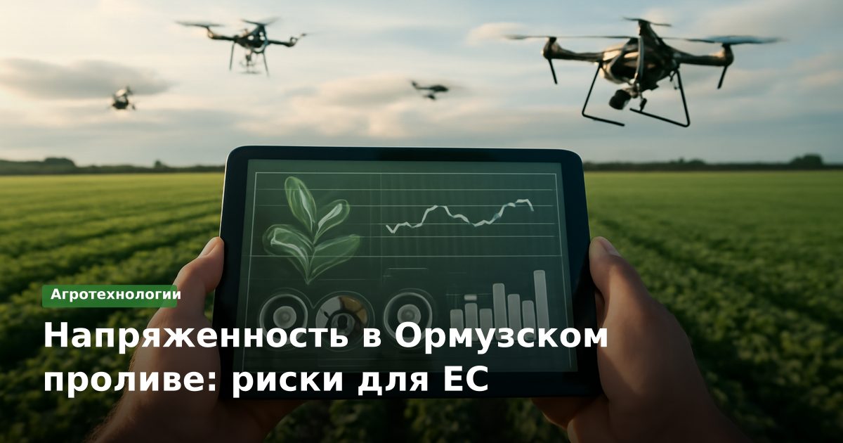 Напряженность в Ормузском проливе: риски для ЕС