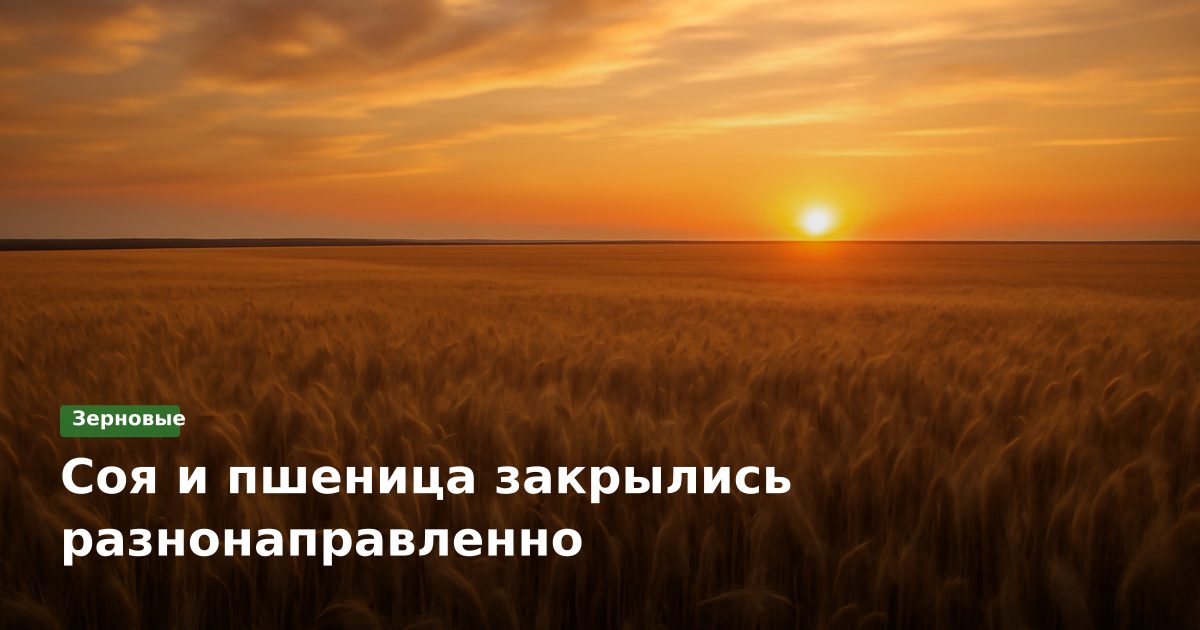 Соя и пшеница закрылись разнонаправленно