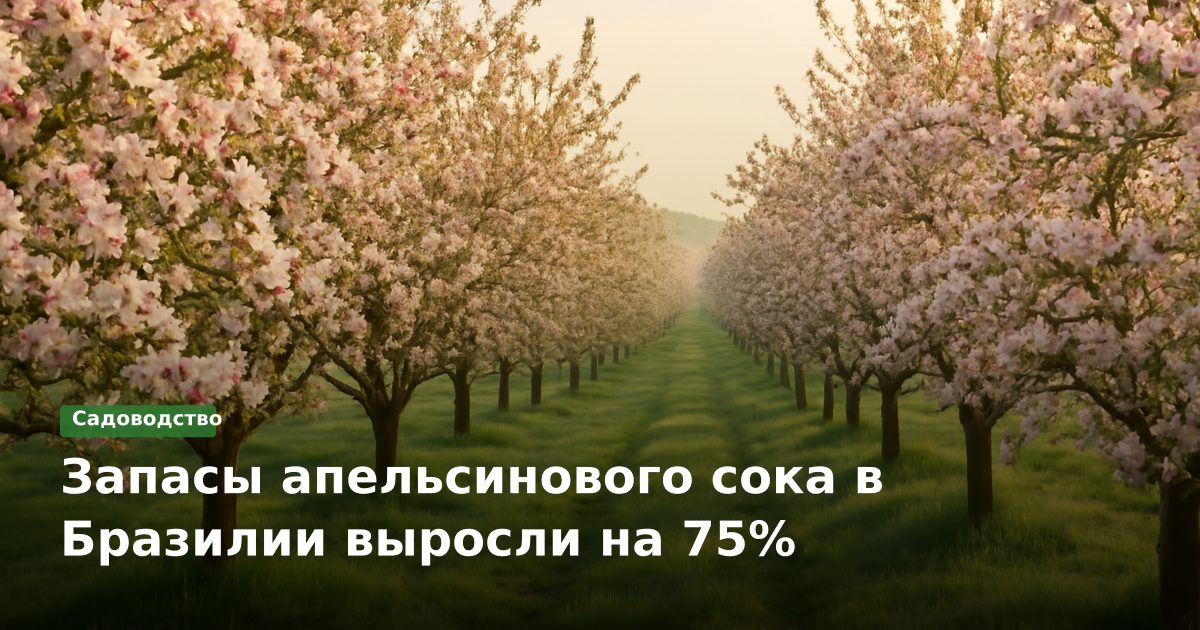 Запасы апельсинового сока в Бразилии выросли на 75%
