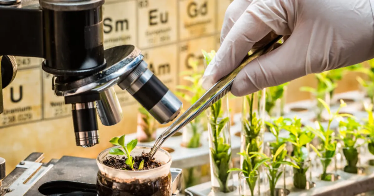 Учёные создали электрод для мониторинга листьев растений