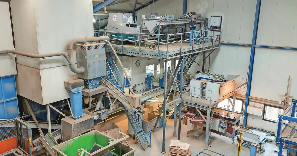 Оптическая сортировка снижает трудозатраты на ферме Jensma Agro