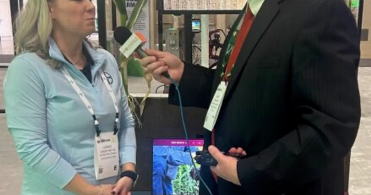 Технология Preceon Smart Corn: Bayer обновила данные о кукурузе