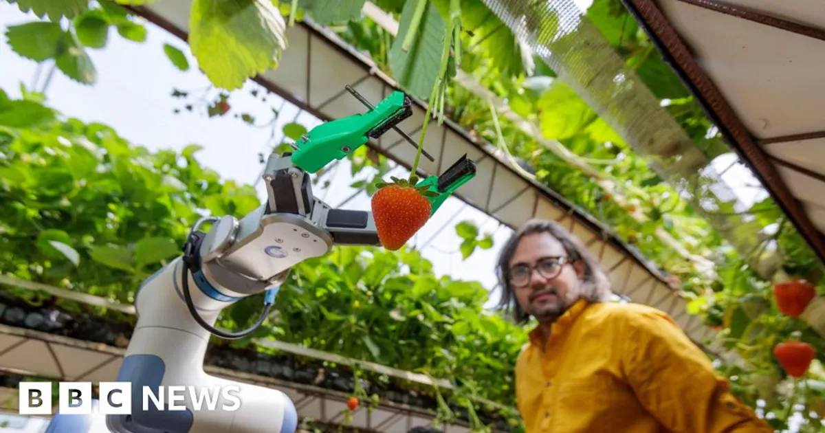 Робот для сбора ягод получил национальную награду