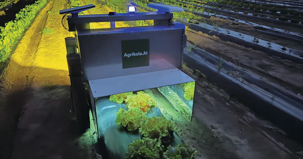 UVC-роботы борются с грибками в агропромышленности